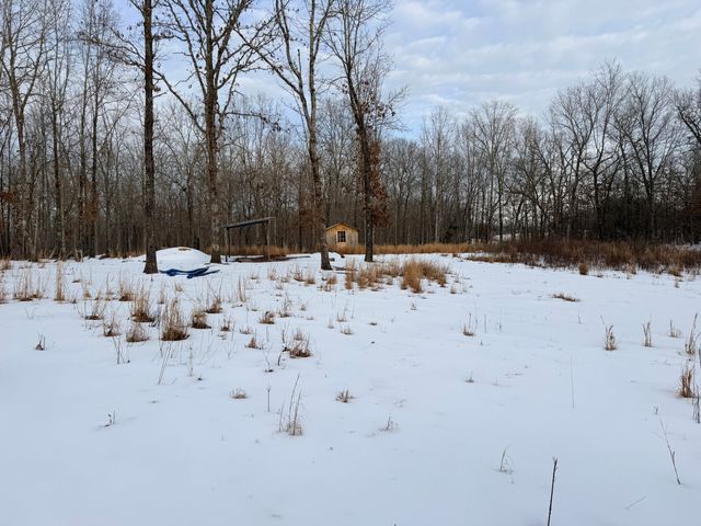 557 County Road 206, Alton, MO 65606