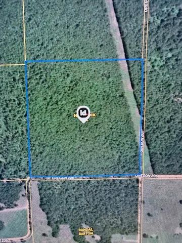 557 County Road 206, Alton, MO 65606