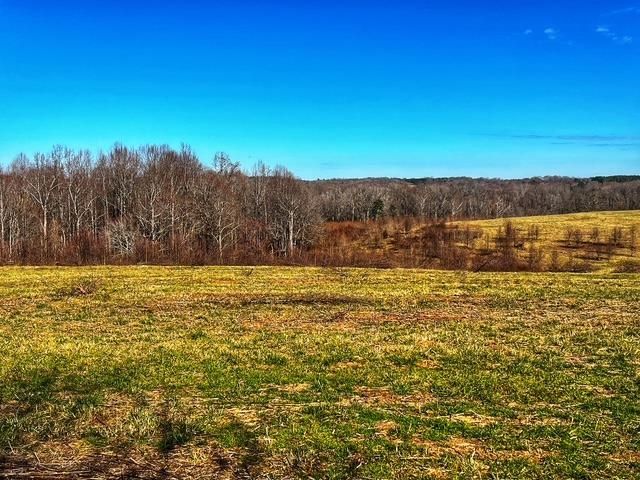 00 Cockrell Road, Greer, SC 29651