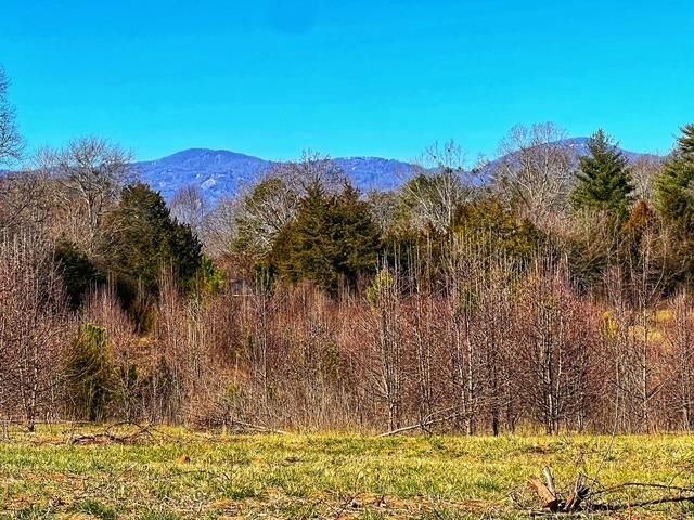 00 Cockrell Road, Greer, SC 29651