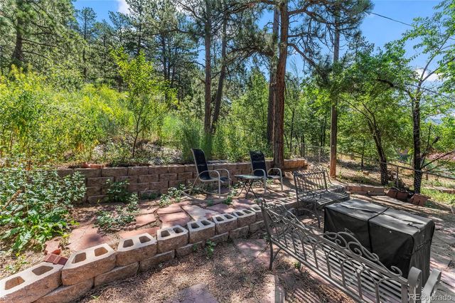 8234 W Highway 24, Cascade, CO 80809