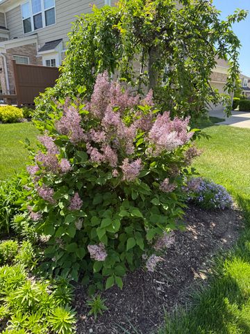 8944 Spring Violet Place, Zionsville, IN 46077