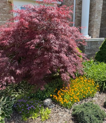 8944 Spring Violet Place, Zionsville, IN 46077