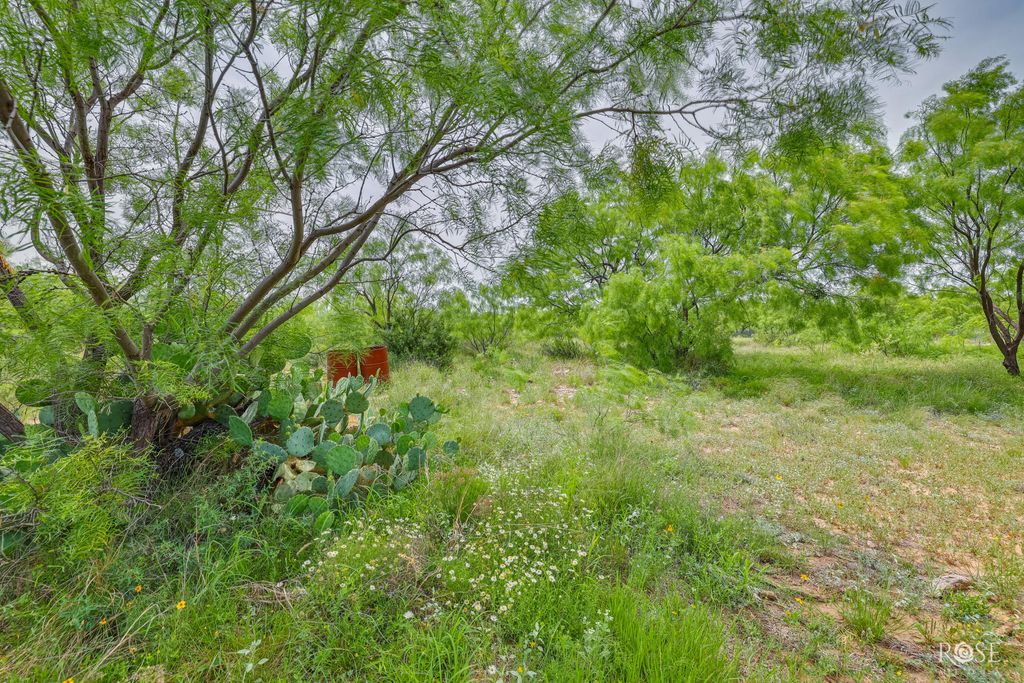 Image 38 of property listing at 3219 Lakota Lane, San Angelo, TX 76901