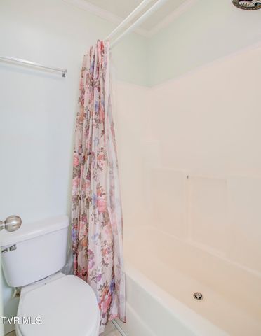617 Telford New Victory Road, Telford, TN 37690