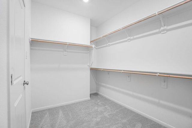 26743 Celestial Cypress Road, Hockley, TX 77447