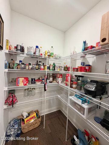 9805 Sunnys Halo Ct, Louisville, KY 40214