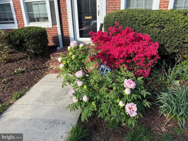 2906 S BUCHANAN ST, Arlington, VA 22206