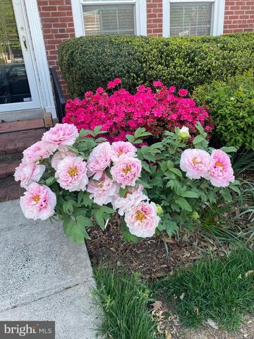 2906 S BUCHANAN ST, Arlington, VA 22206