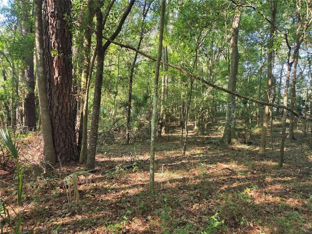 9845 NW 160TH STREET, Reddick, FL 32686