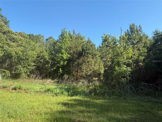 9845 NW 160TH STREET, Reddick, FL 32686