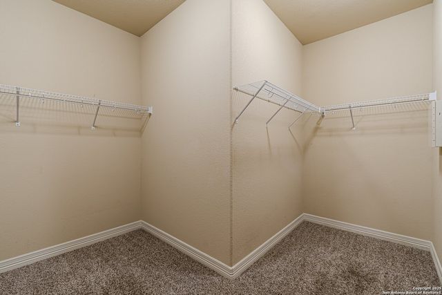 736 GREAT CLOUD, New Braunfels, TX 78130