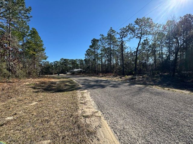 9367 N FAIRY LILLY DRIVE, Citrus Springs, FL 34433