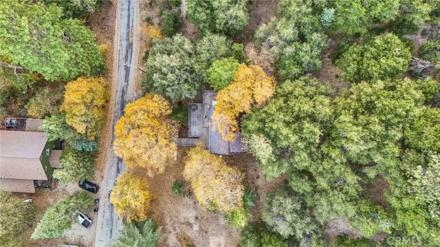 5866 Robin Oak Drive, Angelus Oaks, CA 92305