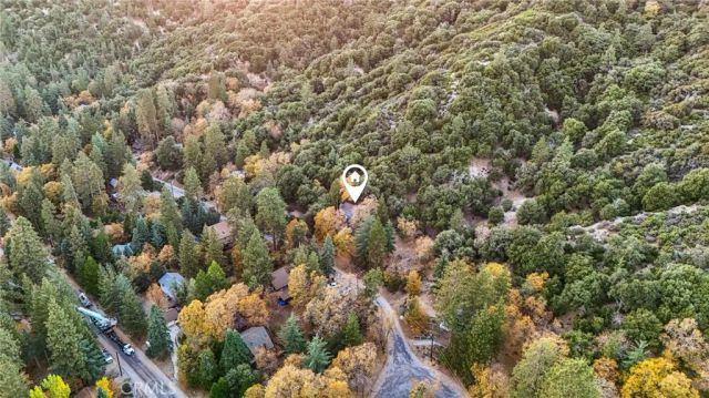 5866 Robin Oak Drive, Angelus Oaks, CA 92305