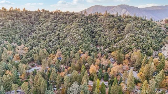 5866 Robin Oak Drive, Angelus Oaks, CA 92305