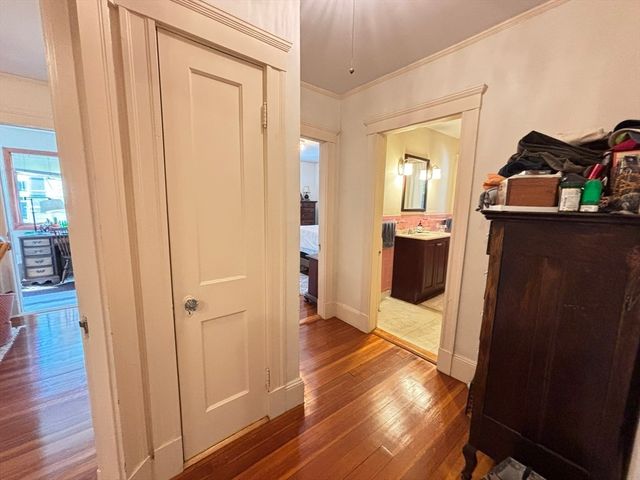 65 Chester Road 1, Belmont, MA 02478