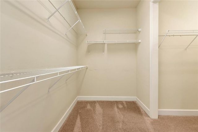 3450 Locust Cove Road, Gainesville, GA 30504