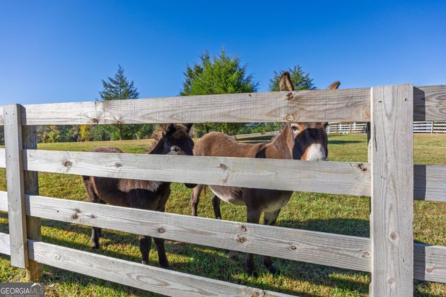 125 Perry Road, Rydal, GA 30171