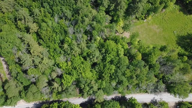 5 Brian Road, Ossipee, NH 03864