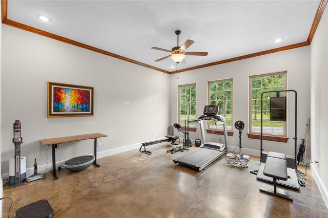 3906 County Road 157, Bedias, TX 77831