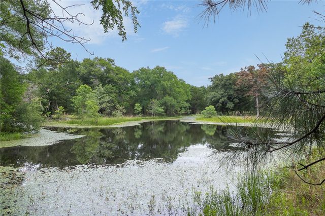 3906 County Road 157, Bedias, TX 77831