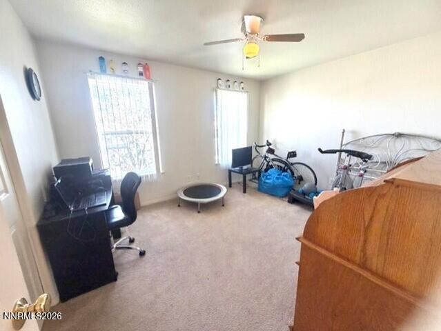 844 Woodhaven Drive, Fallon, NV 89406