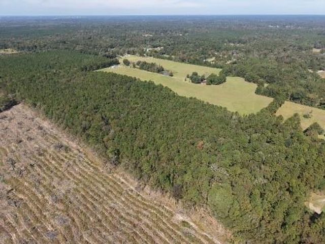 135 BIG LAKE Road, Pineville, LA 71360