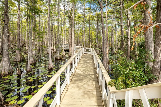 388 Cypress Drive, Santa Rosa Beach, FL 32459