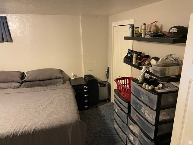 346 N 800 E, Springville, UT 84663