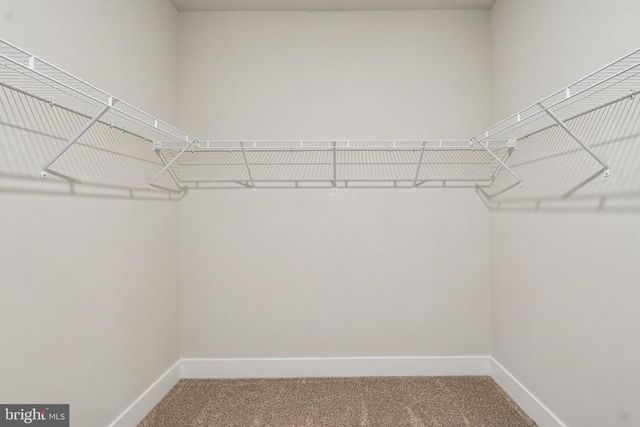 11808 WALES DR, Fredericksburg, VA 22407