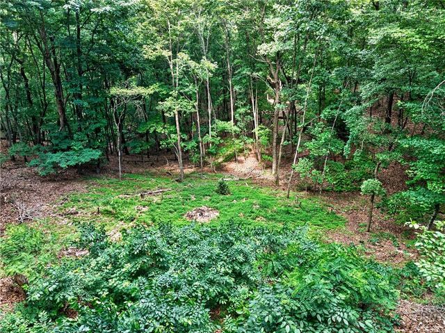 113 Lucerne Place, Sautee Nacoochee, GA 30571