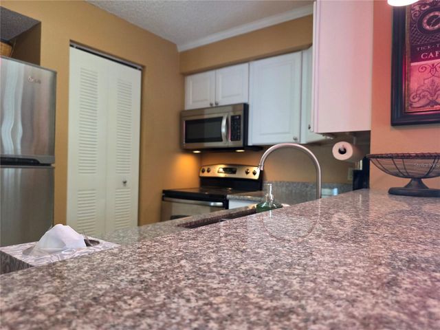 115 112TH AVENUE NE 1028, St Petersburg, FL 33716