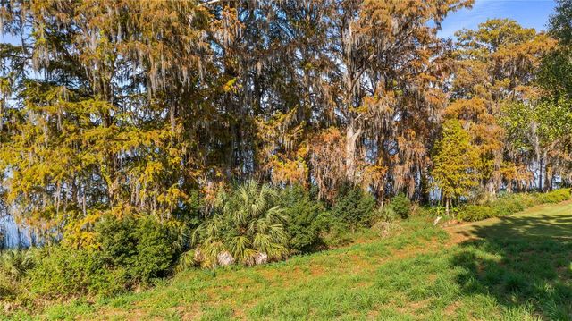 LAKE SWATARA DRIVE, Eustis, FL 32736