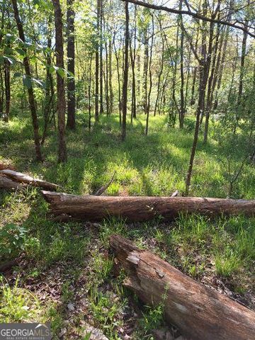 0 Middleton Church Road, Elberton, GA 30635