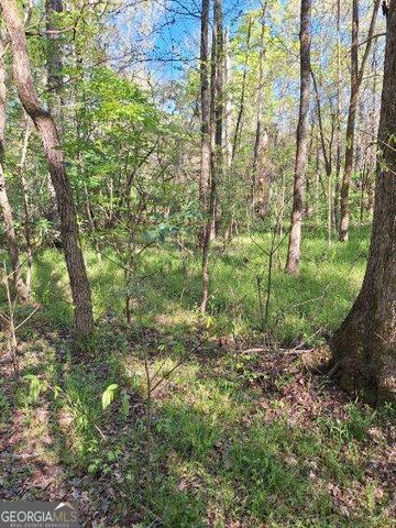 0 Middleton Church Road, Elberton, GA 30635
