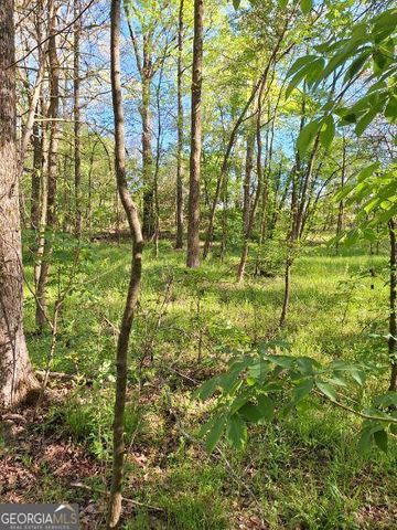 0 Middleton Church Road, Elberton, GA 30635