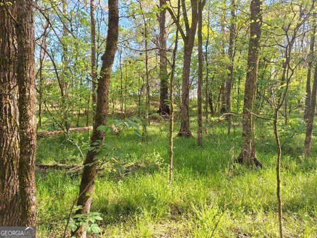 0 Middleton Church Road, Elberton, GA 30635