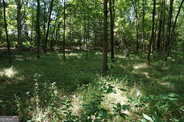 0 Middleton Church Road, Elberton, GA 30635