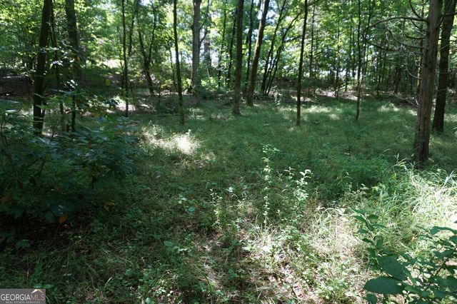 0 Middleton Church Road, Elberton, GA 30635