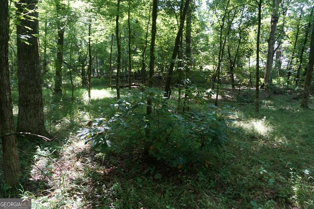 0 Middleton Church Road, Elberton, GA 30635