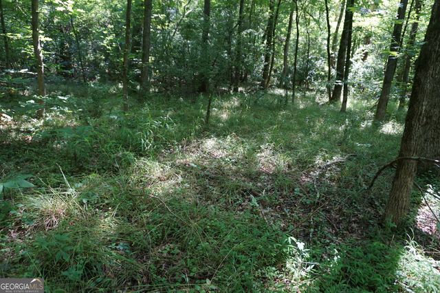 0 Middleton Church Road, Elberton, GA 30635