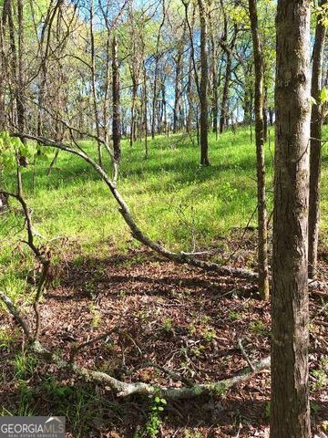 0 Middleton Church Road, Elberton, GA 30635
