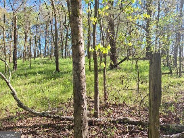 0 Middleton Church Road, Elberton, GA 30635