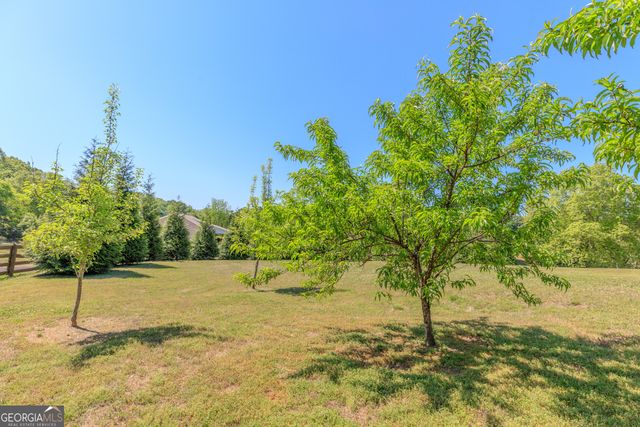 669 Chandler Road, Chickamauga, GA 30707
