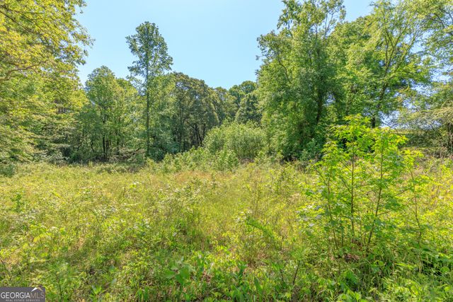 669 Chandler Road, Chickamauga, GA 30707