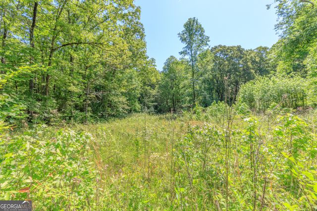 669 Chandler Road, Chickamauga, GA 30707