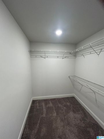 212 BLACK CREEK TRAIL, Odenville, AL 35120