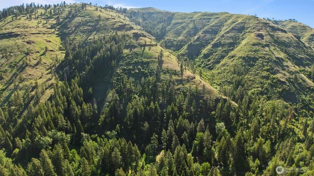 136 Tamarack Lane, Dayton, WA 99328