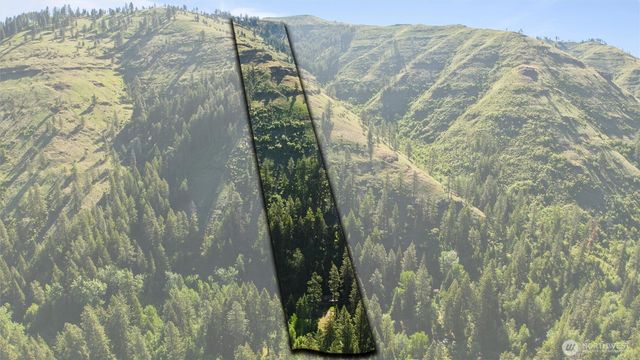 136 Tamarack Lane, Dayton, WA 99328